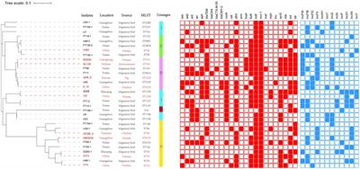 Identification of the Plasmid-Mediated Colistin Resistance Gene mcr-1 in Escherichia coli Isolates From <mark class="highlighted">Migratory Birds</mark> in Guangdong, China